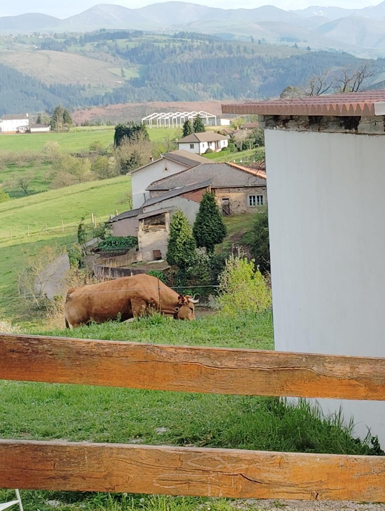 Hotel El Nuevo Semellon Aceptamos Mascotas Tineo Exterior photo
